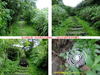 和大粗坑清一色花崗岩步道相比，小粗坑步道有更多的變化。
木階梯下的網路系統，主人似乎不在家。
 