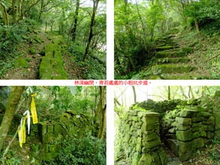 林深幽閉，青苔處處的小粗坑步道。
 