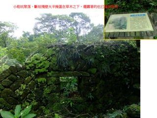 小粗坑聚落，斷垣殘壁大半掩蓋在草木之下，還露著的也已滿是青苔。
 
