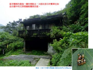 當洋樓裡的最後一縷炊煙散去，大粗坑昔日的繁華也如
金谷園中的沉香煙塵般隨風而逝。
瞧這一大家子多麼和樂融融! 還是說他們正在開party?
 