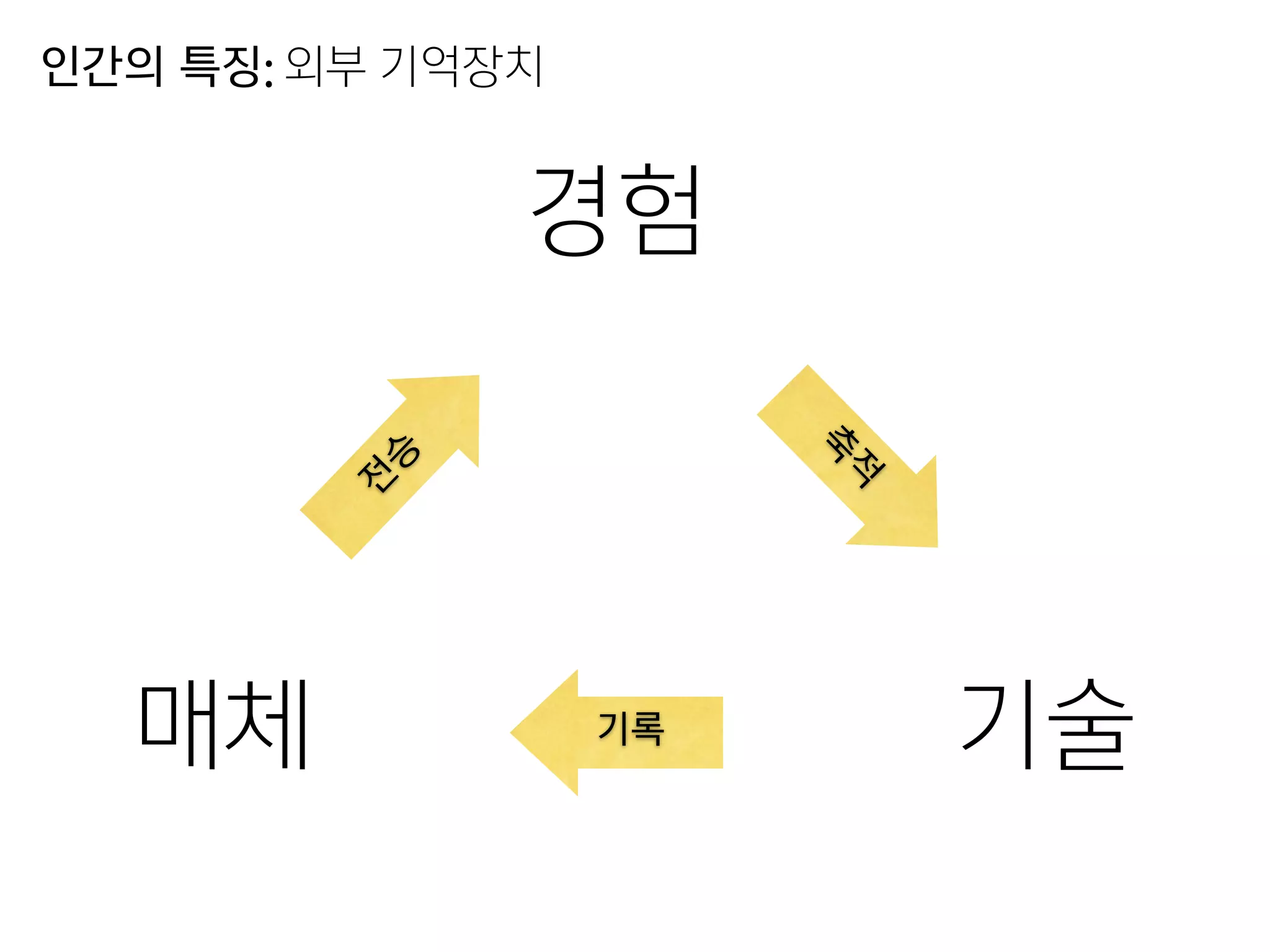 경험
기술매체 축
적
전
승
기록
인간의 특징: 외부 기억장치
 