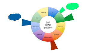 IT 
HR 
Manufacturing 
Procurement 
Sales & CMO 
Extension platform 
CFO 
Asset management 
Supplychain 
SAP 
HANA 
platform 
 