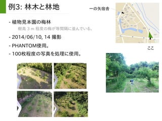 - 植物見本園の梅林
例3: 林木と林地
- 2014/06/10, 14 撮影
- PHANTOM使用。
樹高 3 m 程度の梅が等間隔に並んでいる。
一の矢宿舎
ここ
- 100枚程度の写真を処理に使用。
 