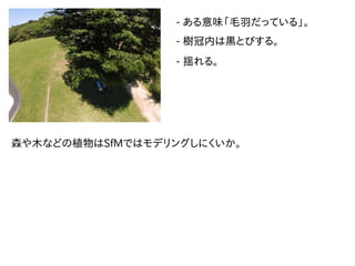- ある意味「毛羽だっている」。
- 樹冠内は黒とびする。
- 揺れる。
森や木などの植物はSfMではモデリングしにくいか。
 