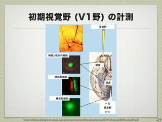 初期視覚野 (V1野) の計測
29
500
http://ohzawa-lab.bpe.es.osaka-u.ac.jp/resources/text/KisokouKoukai2009/Ohzawa2009Koukai04.pdf
 