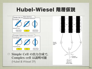 Hubel-Wiesel 階層仮説
Simple Cell の出力合成で， 
Complex cell は説明可能 
(Hubel & Wiesel 59)
31
Simple Cell
Phase Sensitive
Orientation Selective
Receptive Field
Input Stimulus
Fire Not FireNot Fire
Phase InsensitiveComplex Cell
Receptive Field
Input Stimulus
Fire Not FireFire
 