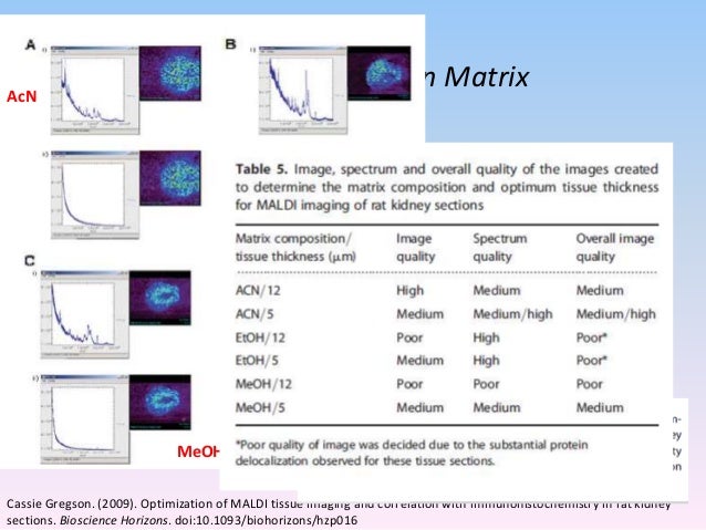 imaging workflow presentation on the basic maldi imaging workflow with some imaging workflow presentation on the basic maldi imaging workflow with some