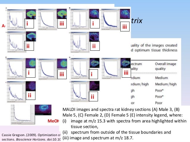 imaging workflow presentation on the basic maldi imaging workflow with some imaging workflow presentation on the basic maldi imaging workflow with some