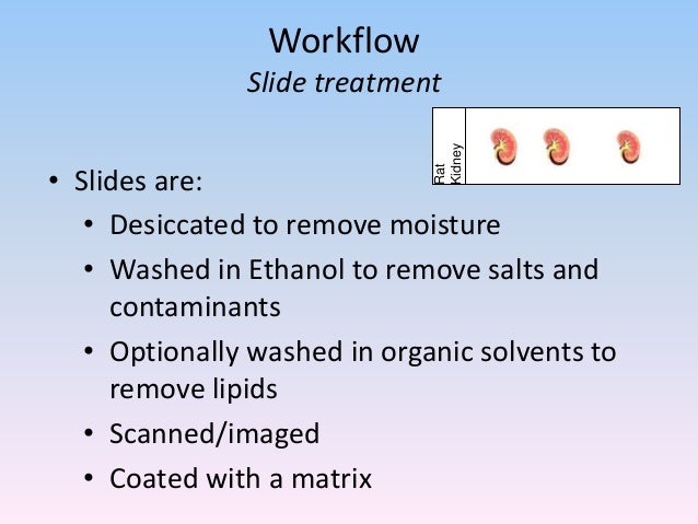 imaging workflow presentation on the basic maldi imaging workflow with some imaging workflow presentation on the basic maldi imaging workflow with some