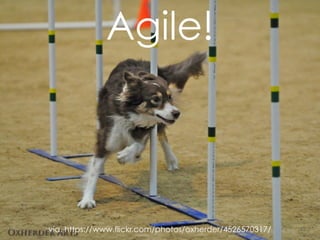 Copyright(c) NEXT Co., Ltd. All Rights Reserved.
62via. https://www.flickr.com/photos/oxherder/4526570317/
Agile!
 