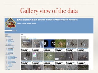 Gallery view of the data
 