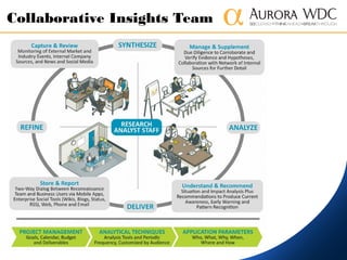 Collaborative Insights Team
 