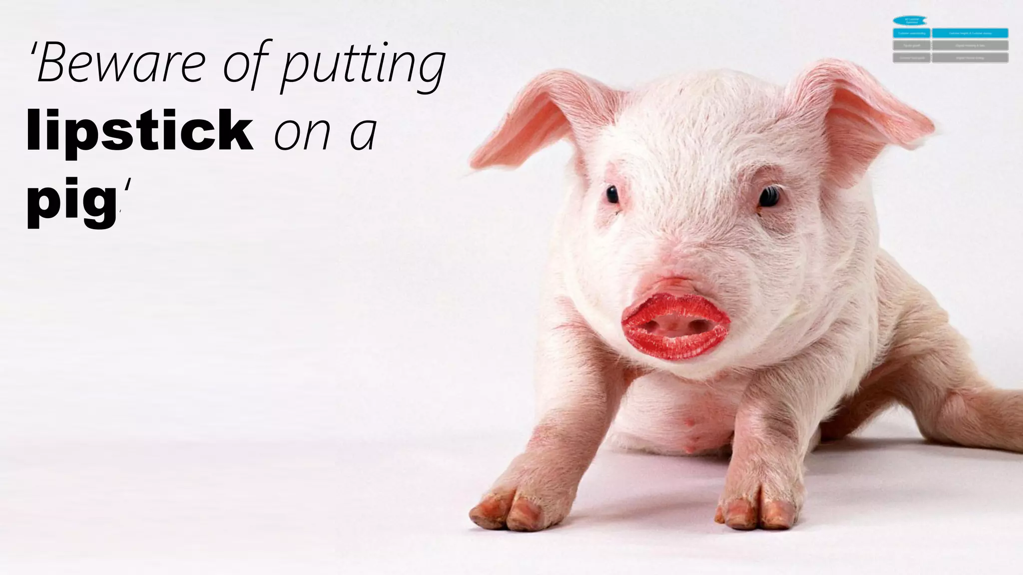 20	
  
‘Beware of putting
lipstick on a
pig‘‘
 