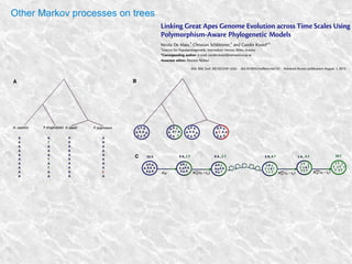 Other Markov processes on trees
 