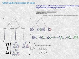 Other Markov processes on trees
 
