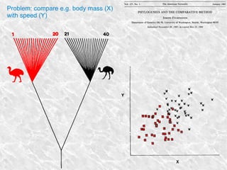 Problem: compare e.g. body mass (X)
with speed (Y)
 