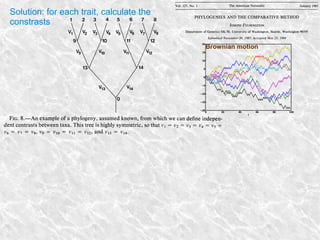 Solution: for each trait, calculate the
constrasts
Brownian motion
 