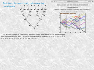 Solution: for each trait, calculate the
constrasts
Brownian motion
 