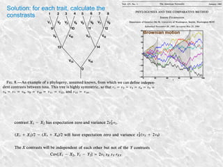 Solution: for each trait, calculate the
constrasts
Brownian motion
 