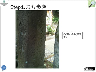 66
Step1.まち歩き
こくぶんみち(国分
道)
 