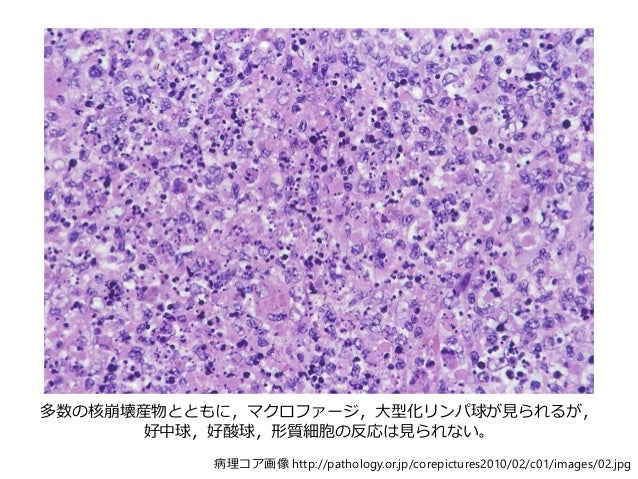 14 07 28 月曜pbl 復習用