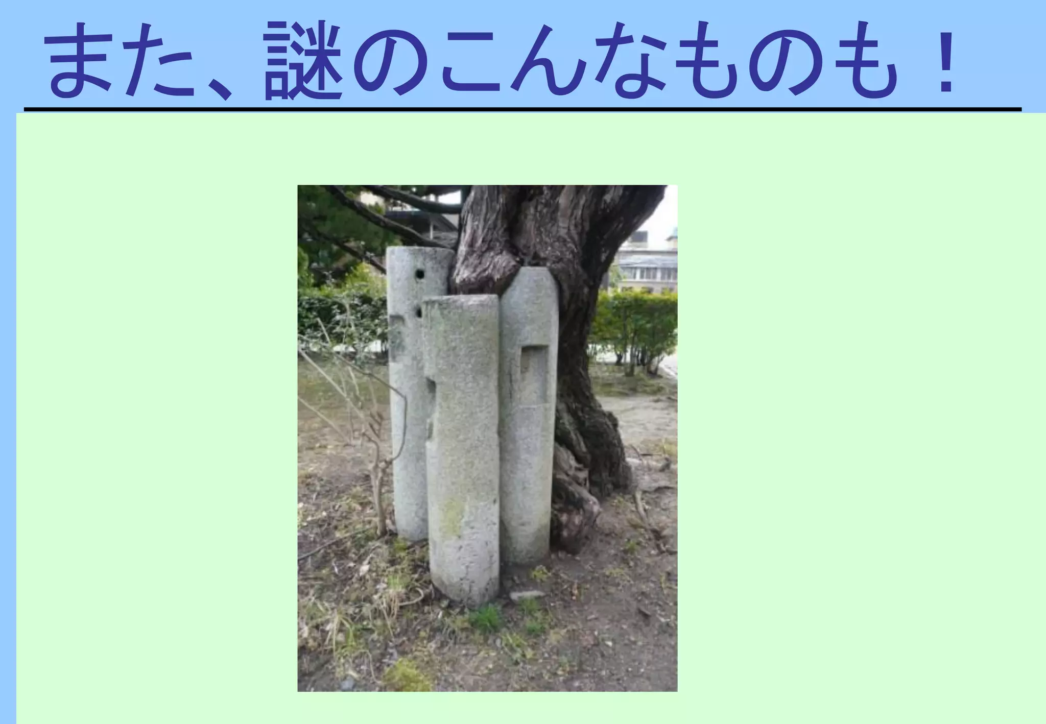 また、謎のこんなものも！
 