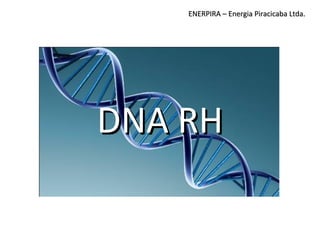 DNA RHDNA RH
ENERPIRA – Energia Piracicaba Ltda.ENERPIRA – Energia Piracicaba Ltda.
 