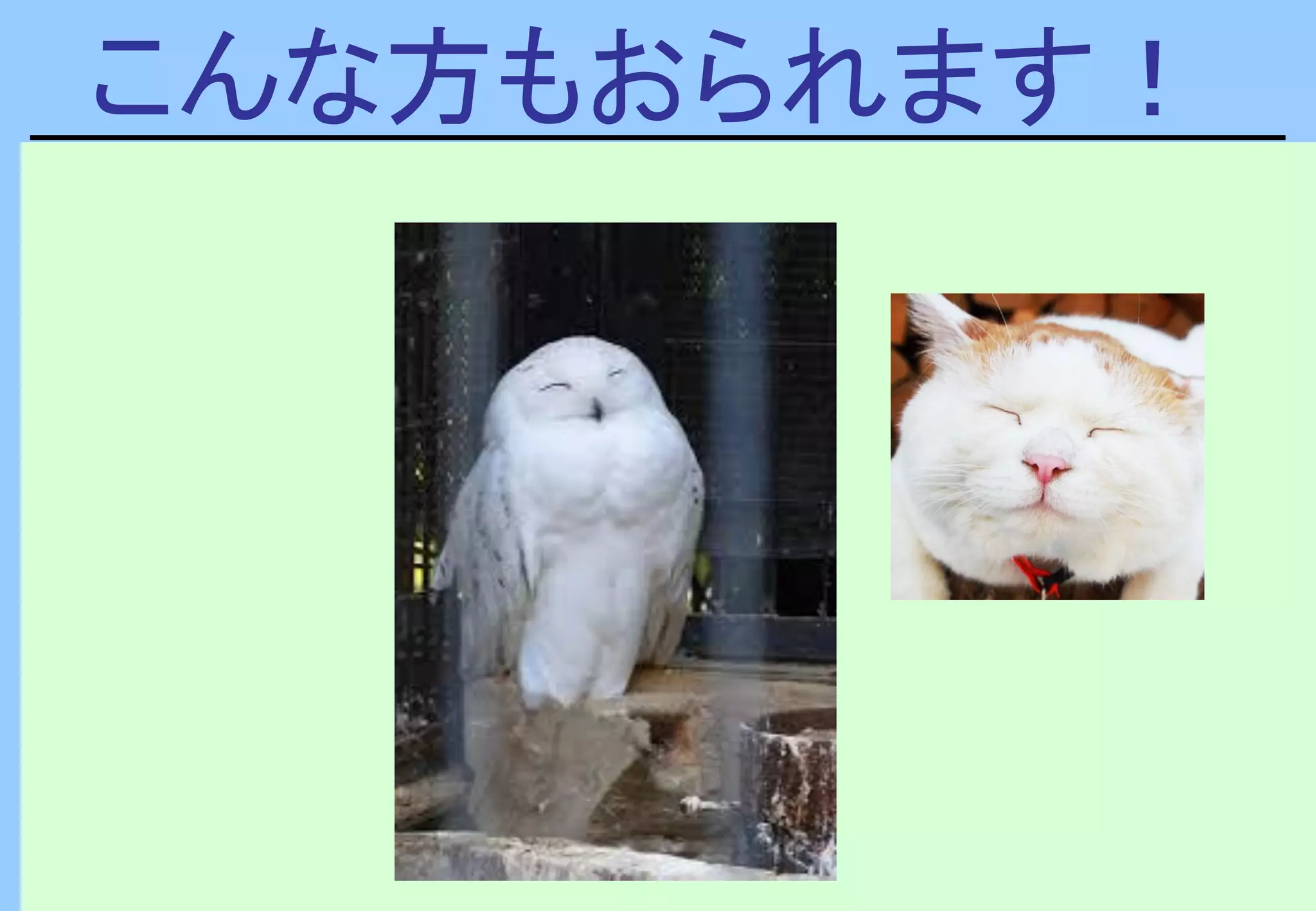 こんな方もおられます！
 