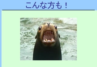 こんな方も！
 
