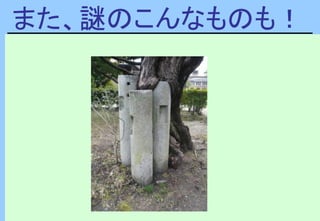 また、謎のこんなものも！
 