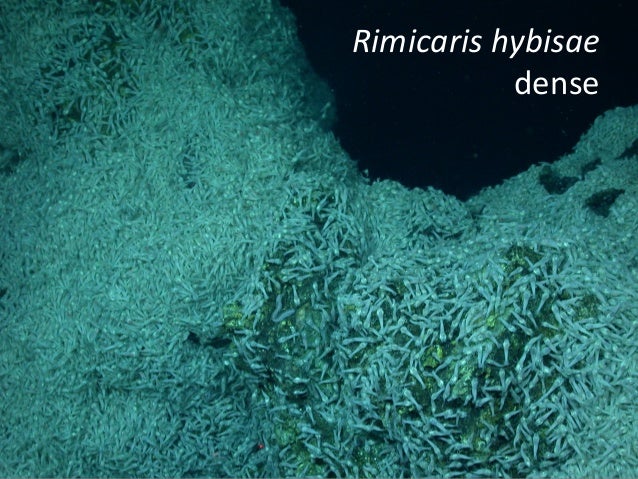 Chemosynthesis europa image