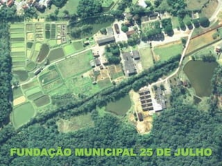 FUNDAÇÃO MUNICIPAL 25 DE JULHO
 