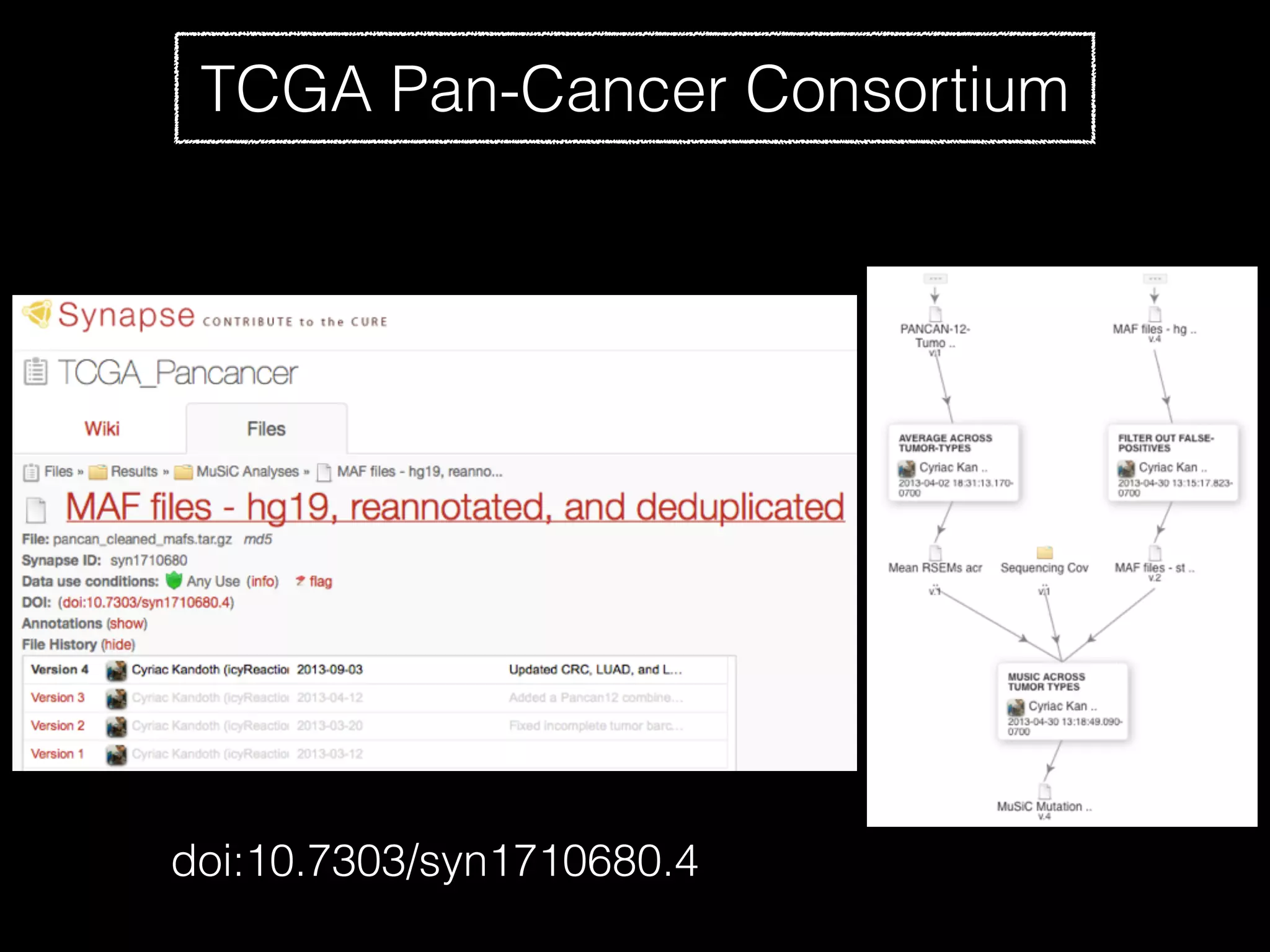 TCGA Pan-Cancer Consortium
doi:10.7303/syn1710680.4
 