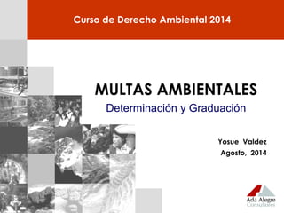 Yosue Valdez
Agosto, 2014
Curso de Derecho Ambiental 2014
MULTAS AMBIENTALES
Determinación y Graduación
 