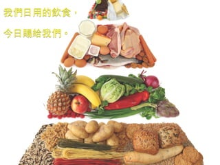 我們⽇日⽤用的飲⻝⾷食， 
今⽇日賜給我們。 
 