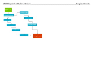 PROJETO Implantação SAP FI - Volvo do Brasil S/A Fluxograma de Execução
 