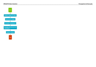 PROJETO Data Colection Fluxograma de Execução
 