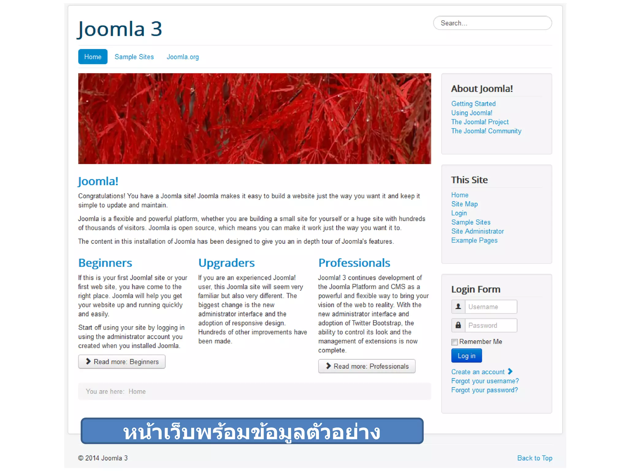 หน้ำเว็บพร้อมข้อมูลตัวอย่ำง  