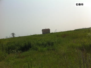 石巻市  