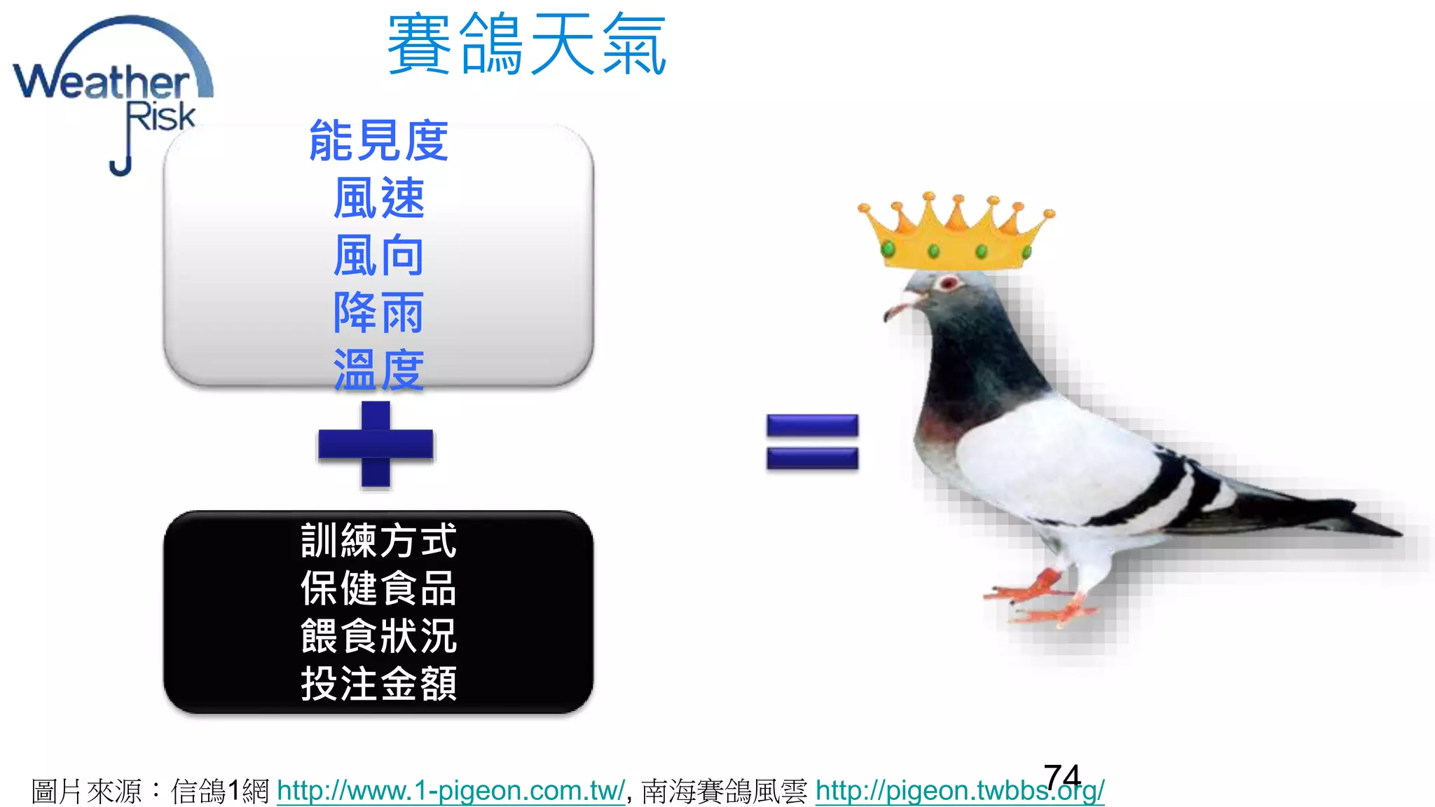 賽鴿天氣 
74 
能見度 
風速 
風向 
降雨 
溫度 
訓練方式 
保健食品 
餵食狀況 
投注金額 
圖片來源：信鴿1網http://www.1-pigeon.com.tw/, 南海賽鴿風雲http://pigeon.twbbs.org/ 
 