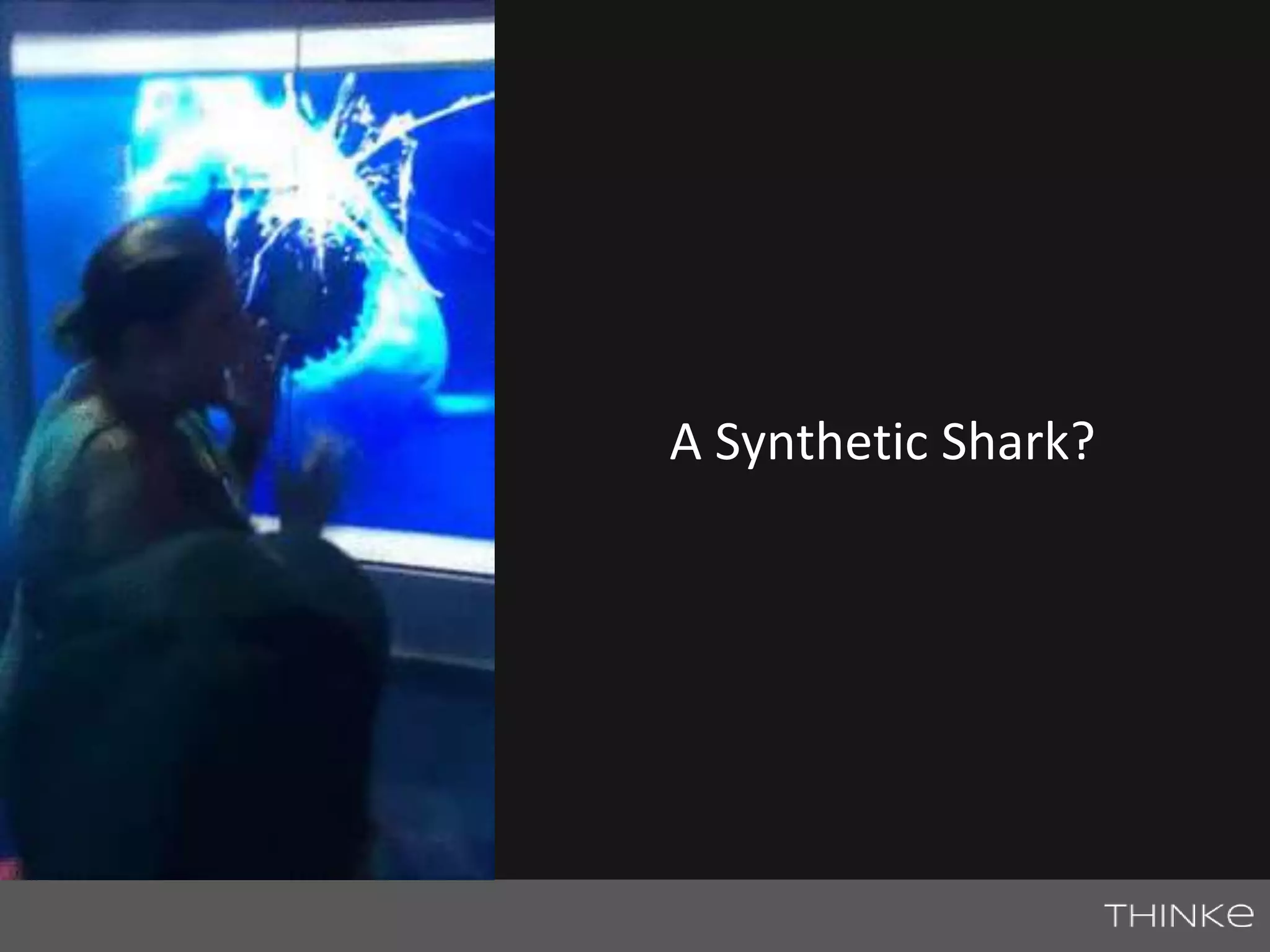 A Synthetic Shark? 
 
