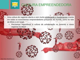CULTURA EMPREENDEDORA 
• Uma cultura de negócios aberta e com muita colaboração é fundamental e existe 
em todos os ecossistemas empreendedores prósperos do mundo, como no Vale 
do Silício e em Israel. 
• Precisamos impulsionar a cultura da colraboração no fomento a novos 
negócios no Brasil. 
Foto: Flickr /DeeAshley (cc) 
 
