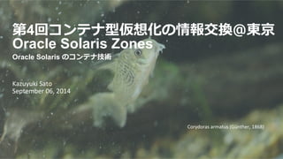 第4回コンテナ型仮想化の情報交換＠東京 
Oracle Solaris Zones 
Oracle Solaris のコンテナ技術 
Kazuyuki 
Sato 
September 
06, 
2014 
Corydoras 
armatus 
(Günther, 
1868) 
 