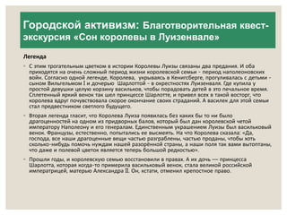 Городской активизм: Благотворительная квест- 
экскурсия «Сон королевы в Луизенвале» 
Легенда 
◦ С этим трогательным цветком в истории Королевы Луизы связаны два предания. И оба 
приходятся на очень сложный период жизни королевской семьи - период наполеоновских 
войн. Согласно одной легенде, Королева, укрываясь в Кенигсберге, прогуливалась с детьми - 
сыном Вильгельмом I и дочерью Шарлоттой - в окрестностях Луизенваля. Где купила у 
простой девушки целую корзину васильков, чтобы порадовать детей в это печальное время. 
Сплетенный яркий венок так шел принцессе Шарлотте, и привел всех в такой восторг, что 
королева вдруг почувствовала скорое окончание своих страданий. А василек для этой семьи 
стал предвестником светлого будущего. 
◦ Вторая легенда гласит, что Королева Луиза появилась без каких бы то ни было 
драгоценностей на одном из придворных балов, который был дан королевской четой 
императору Наполеону и его генералам. Единственным украшением Луизы был васильковый 
венок. Французы, естественно, попытались ее высмеять. На что Королева сказала: «Да, 
господа, все наши драгоценные вещи частью разграблены, частью проданы, чтобы хоть 
сколько-нибудь помочь нуждам нашей разорённой страны, а наши поля так вами вытоптаны, 
что даже и полевой цветок является теперь большой редкостью». 
◦ Прошли годы, и королевскую семью восстановили в правах. А их дочь — принцесса 
Шарлотта, которая когда-то примерила васильковый венок, стала великой российской 
императрицей, матерью Александра II. Он, кстати, отменил крепостное право. 
 