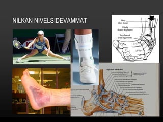 NILKAN NIVELSIDEVAMMAT 
 