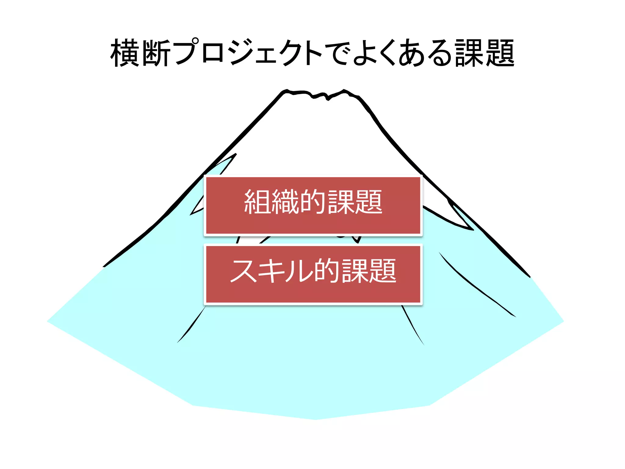 横断プロジェクトでよくある課題 
組織的課題 
スキル的課題 
システム的課題 
 