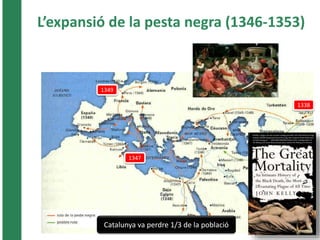 L’expansió de la pesta negra (1346-1353) 
1338 
1347 
1349 
Catalunya va perdre 1/3 de la població 
 