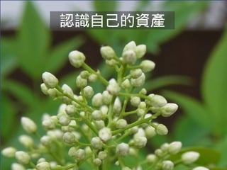 認識自己的資產 
 