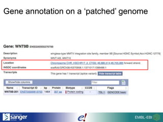 Gene annotation on a ‘patched’ genome
 