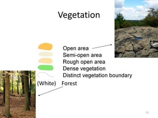 12 
Vegetation 
(White) Forest 
 